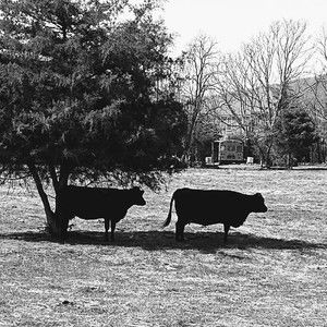 Meet your Posher, Jim